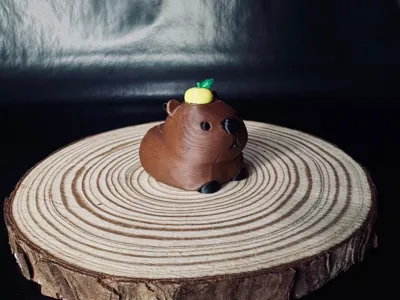 Cute Chubby Capybara