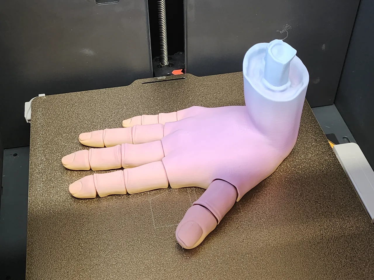 Flexi hand view 2