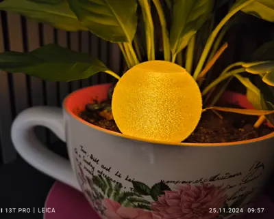 Frostbite Snowball