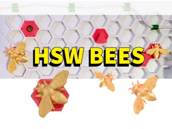 https://makerworld.bblmw.com/makerworld/model/US1903cfc70f368c/design/2025-01-10_0cc572c5aa4b1.png