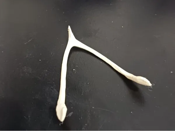 https://makerworld.bblmw.com/makerworld/model/US19060ca0270fba/design/d302abee08e76691.jpg