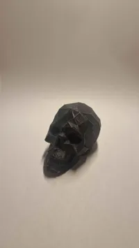 Crâne low poly — photo 2