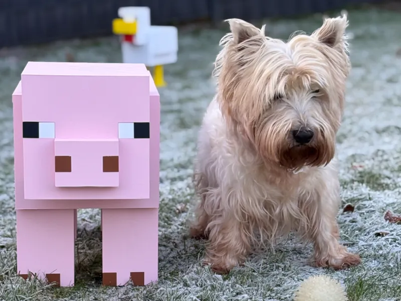 Minecraft pig XXL 