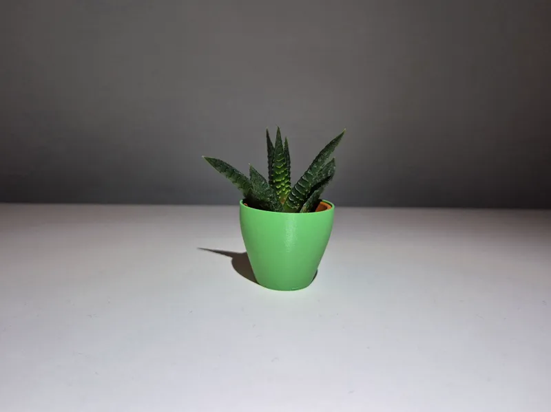Ikea Mini Cactus Vase