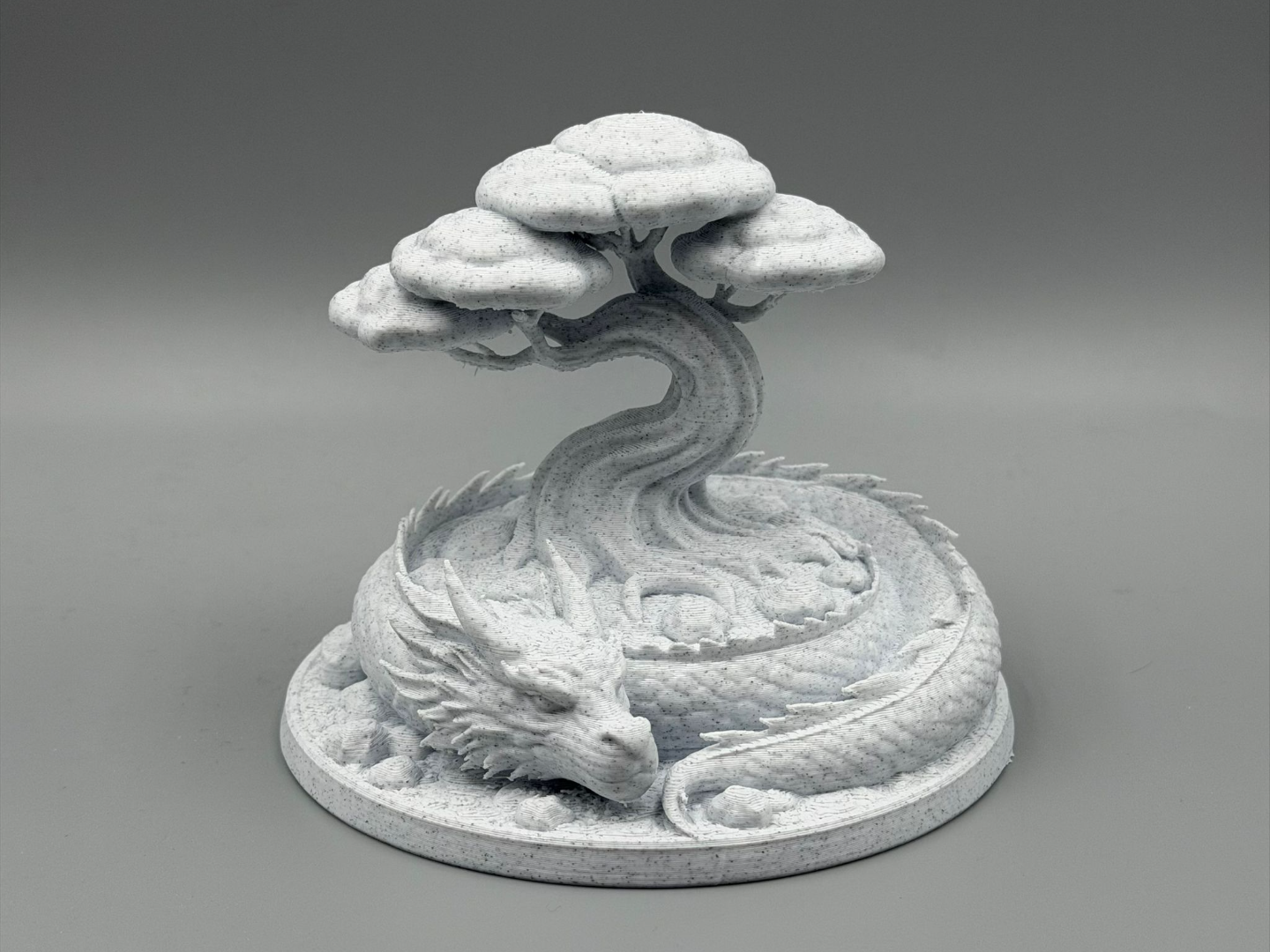 Dragon Root Bonsai
