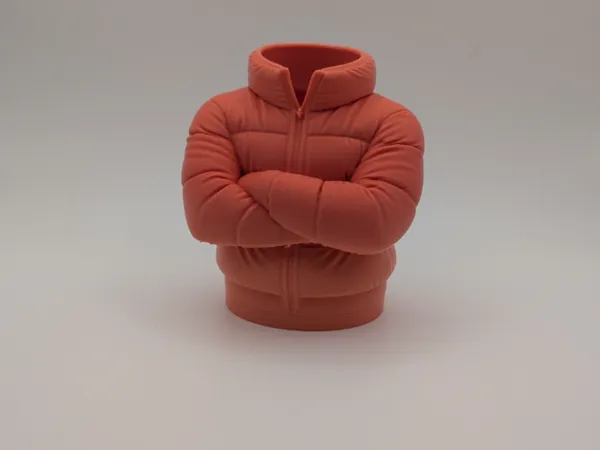 https://makerworld.bblmw.com/makerworld/model/US191016068f4431/design/2026-01-10_2207a3eb865b68.jpg