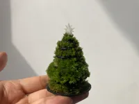 Paysage de mousse « pin détendu » de Noël — photo 3