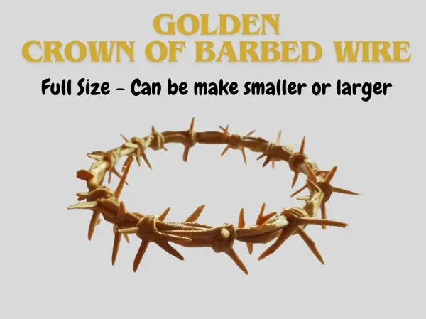 https://makerworld.bblmw.com/makerworld/model/US1914a25aa20c7f/design/2025-05-10_67e137278ec15.webp
