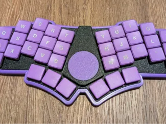 Bad Wings v2 (BW2) Case