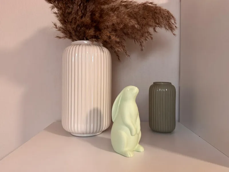 Standing Bunny