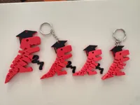 Flexy Rex Graduates multi-color on separate plates