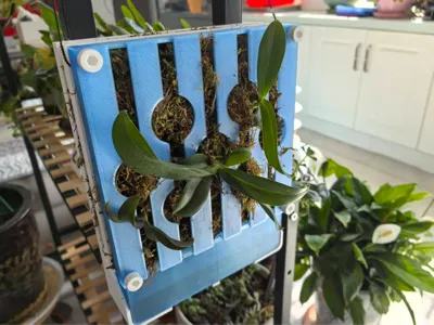 Self-watering Wood-Style Plant Frame / Green Plant Board / Phalaenopsis Orchid Mounting Board / Staghorn Fern Mounting Board / Wall-Mounted Plant Board