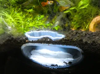 Aquariumhöhle