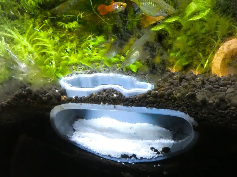 Aquariumhöhle