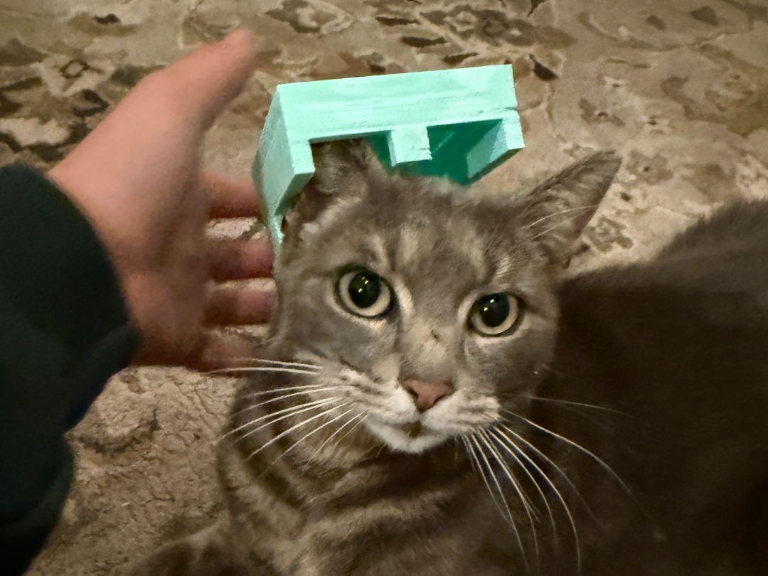 Minecraft Kitty Helmet