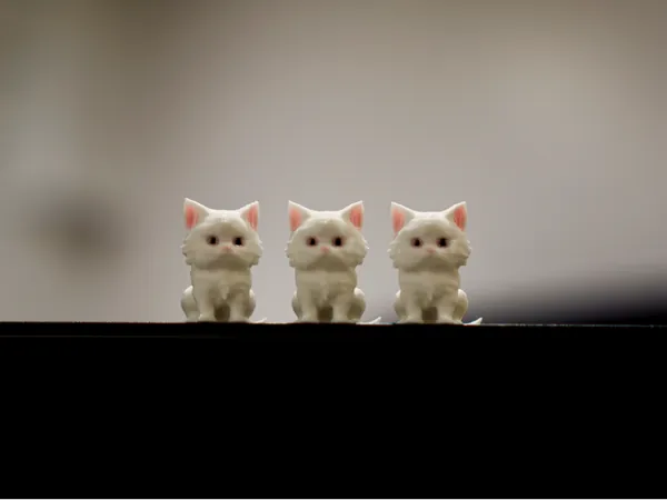 https://makerworld.bblmw.com/makerworld/model/US193861f71ae146/design/2024-11-12_ff078f1bd461e.jpg