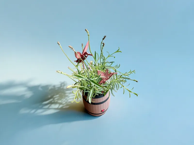 Humming Bird Plant Decor