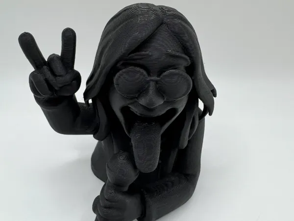 https://makerworld.bblmw.com/makerworld/model/US19457d2835832f/design/2025-08-02_d91a3031fc7ec.jpg