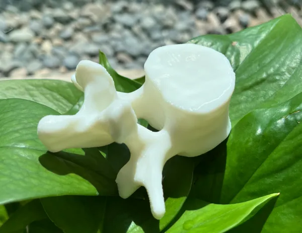 https://makerworld.bblmw.com/makerworld/model/US194600fd077479/design/2024-09-09_e6208d5437942.jpg