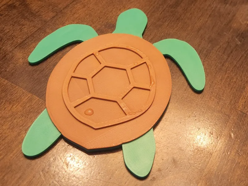 Turtle Coaster
