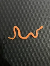 1x Mini Snake