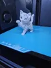 Baby Cat – decorative Voronoi design - Paw up.3mf
