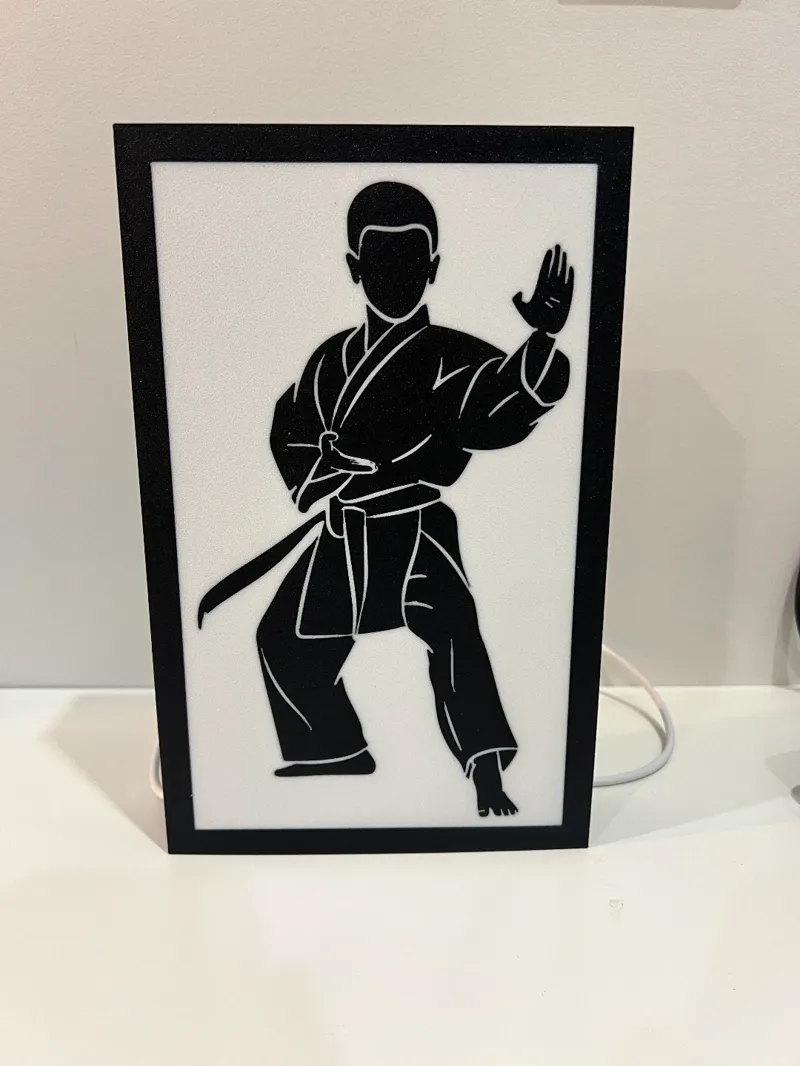 Karate Boy