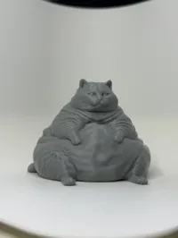 0.16mm layer, 2 walls, 5% infill 50% Size