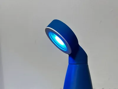 Organic Minimalist Desk Lamp