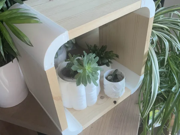 https://makerworld.bblmw.com/makerworld/model/US195db413a9c004/design/2025-06-09_7adab27965b1b.jpg