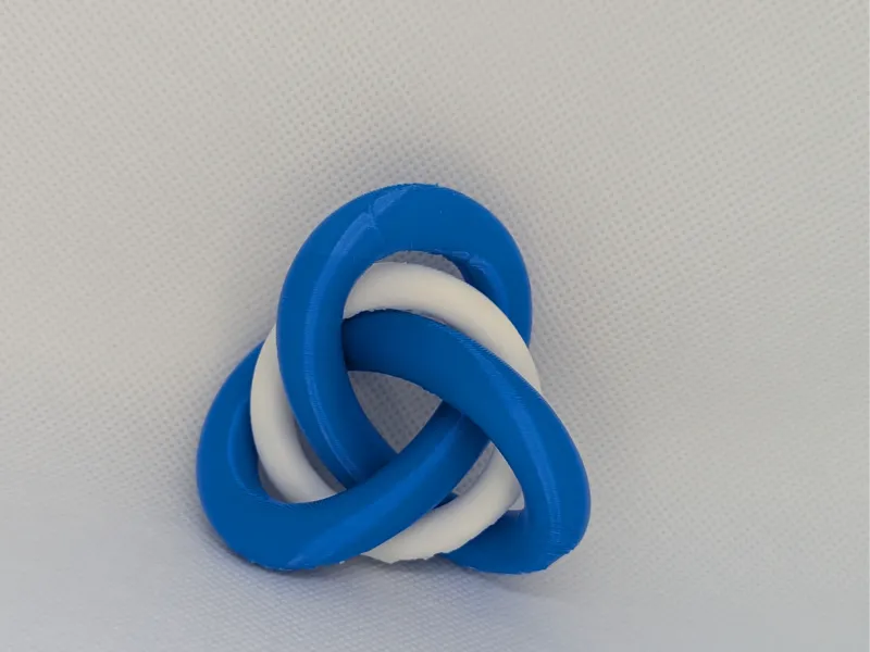Trefoil Knot with Torus