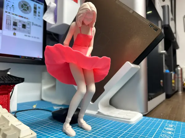 https://makerworld.bblmw.com/makerworld/model/US1966519080e846/design/2024-07-30_4ae5a5c302b4d.jpg