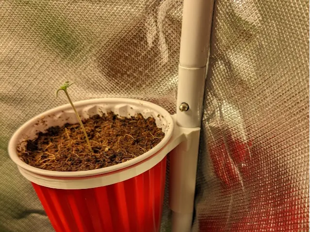 Grow Tent Solo Cup Holder (16mm pole)