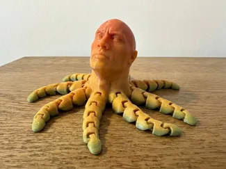 Rocktopus fidget toy 