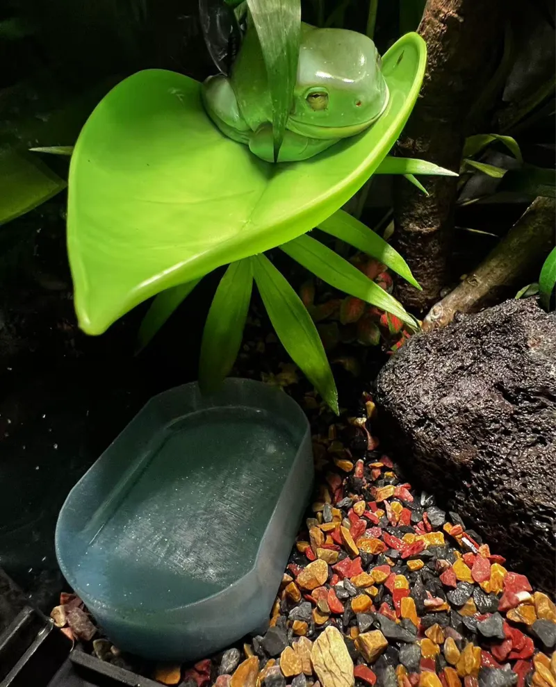 Crawling pet pots
