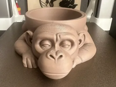 The candy monkey