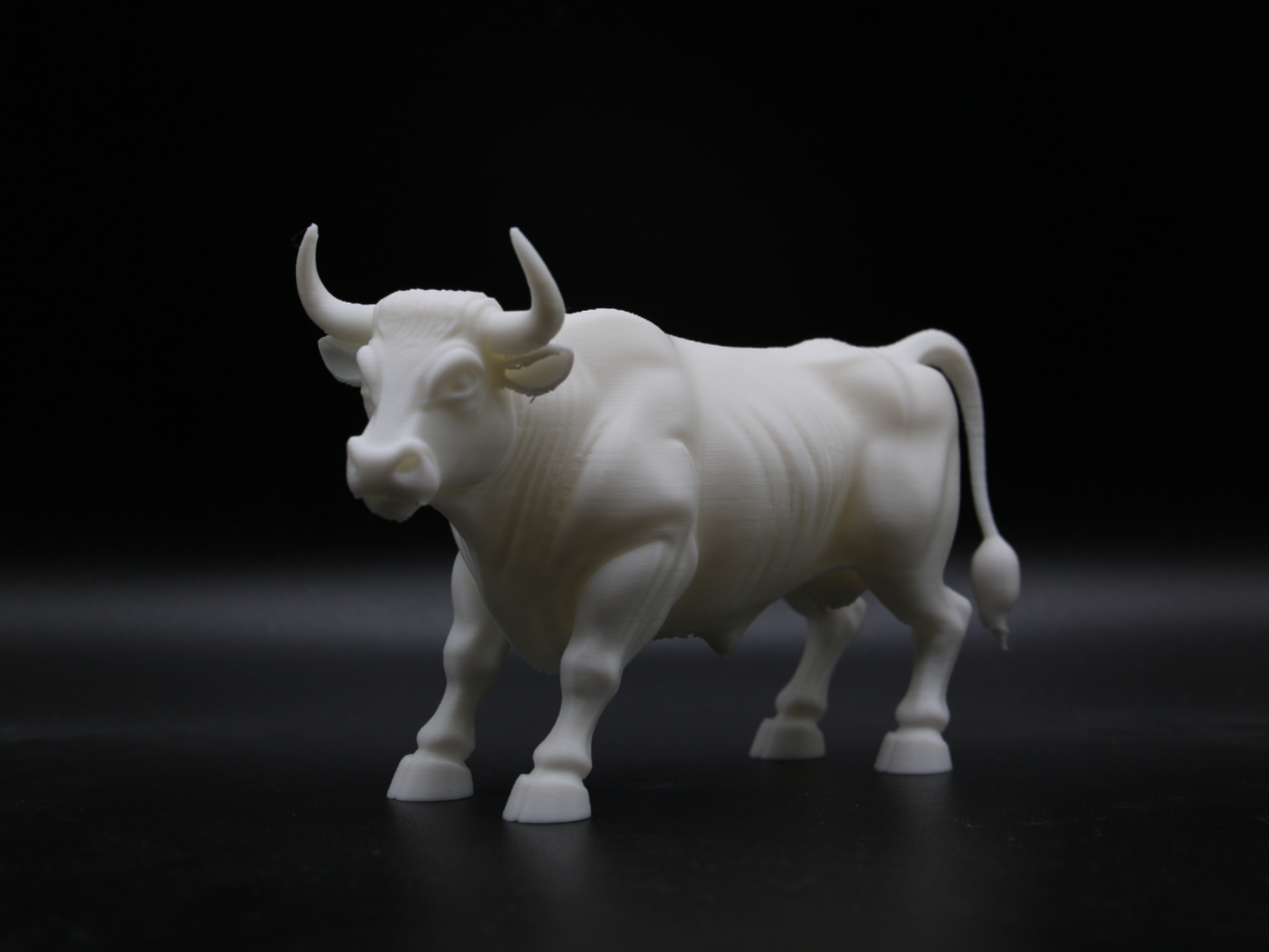 Taurus - Majestätischer Stier