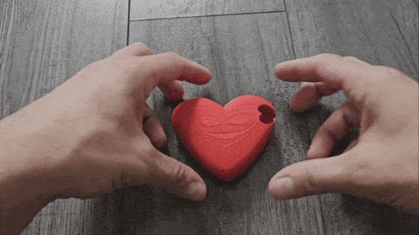 https://makerworld.bblmw.com/makerworld/model/US1971a88e8ced37/design/2024-02-05_bd5312dbfdc11.gif