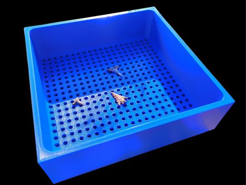 arrowhead / sharktooth sifter