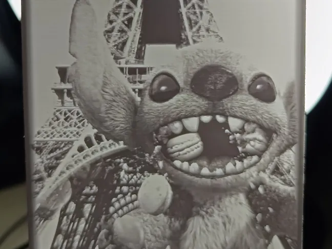litho stitche macaron paris