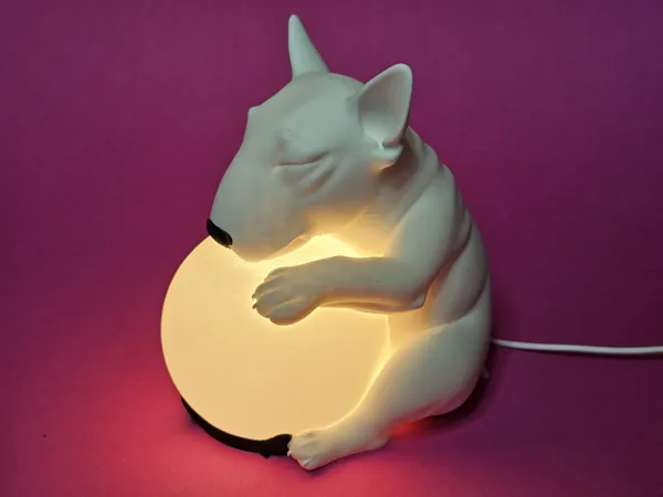 https://makerworld.bblmw.com/makerworld/model/US197507689fac81/design/2025-08-12_70eb789aaedd38.jpg