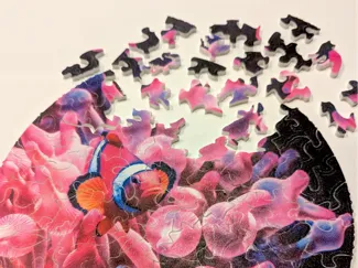 Circular Jigsaw Puzzle