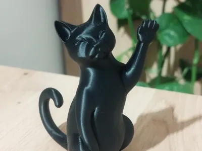 Cute Cat