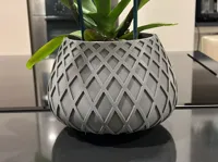 0.2mm layer, 2 walls, 5% infill