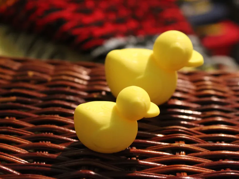 Two Ducks