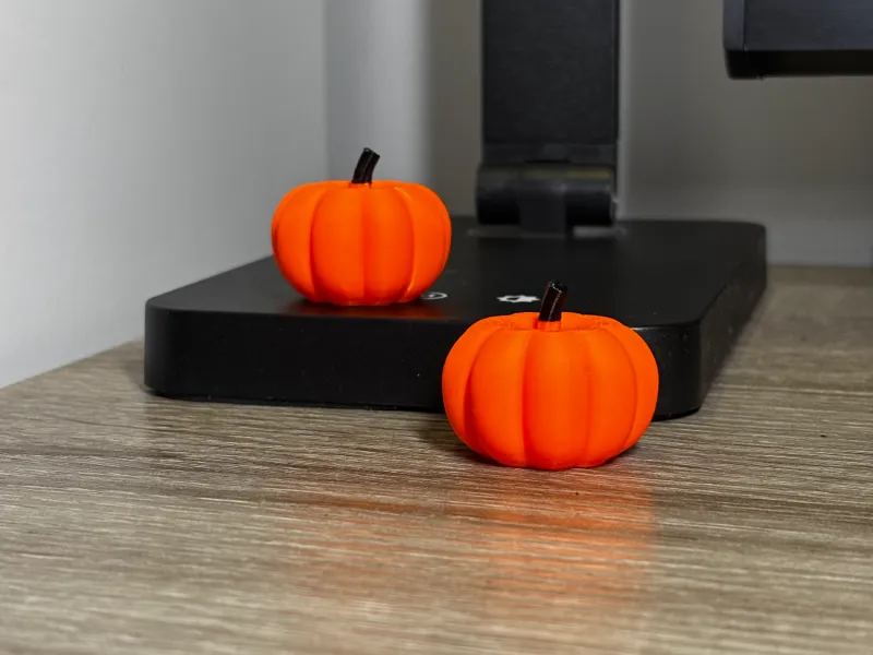 Small Autumn Pumpkin