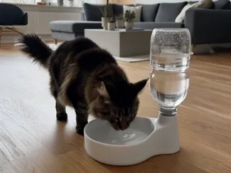 Wasserspender Trinknapf für Hund & Katze 