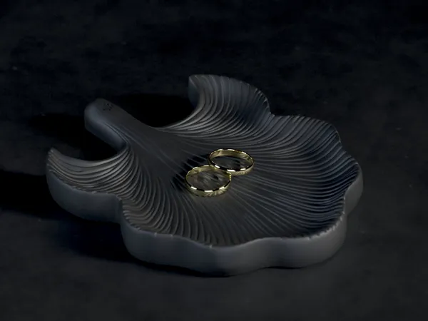 https://makerworld.bblmw.com/makerworld/model/US198cbd451396cc/design/2025-02-12_8b1dc21bd7b0a.jpg