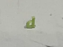 The letter d