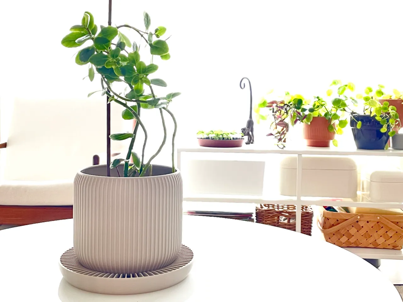 Planter with Water Tray view 2